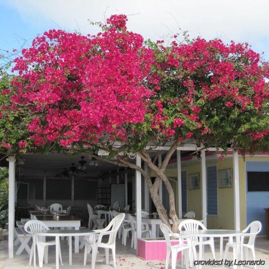 Anegada Reef Hotel The Settlement レストラン 写真