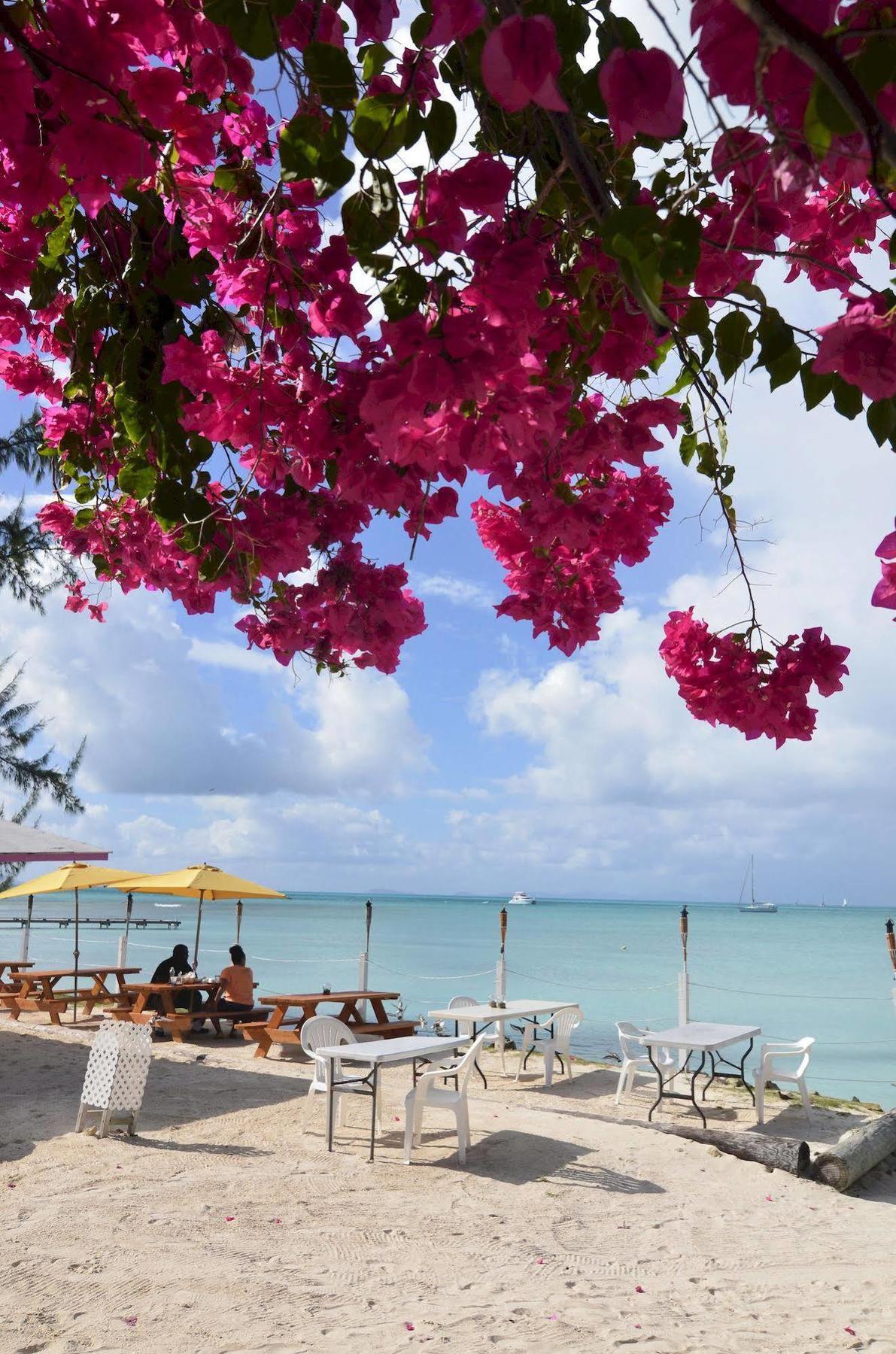 Anegada Reef Hotel The Settlement エクステリア 写真