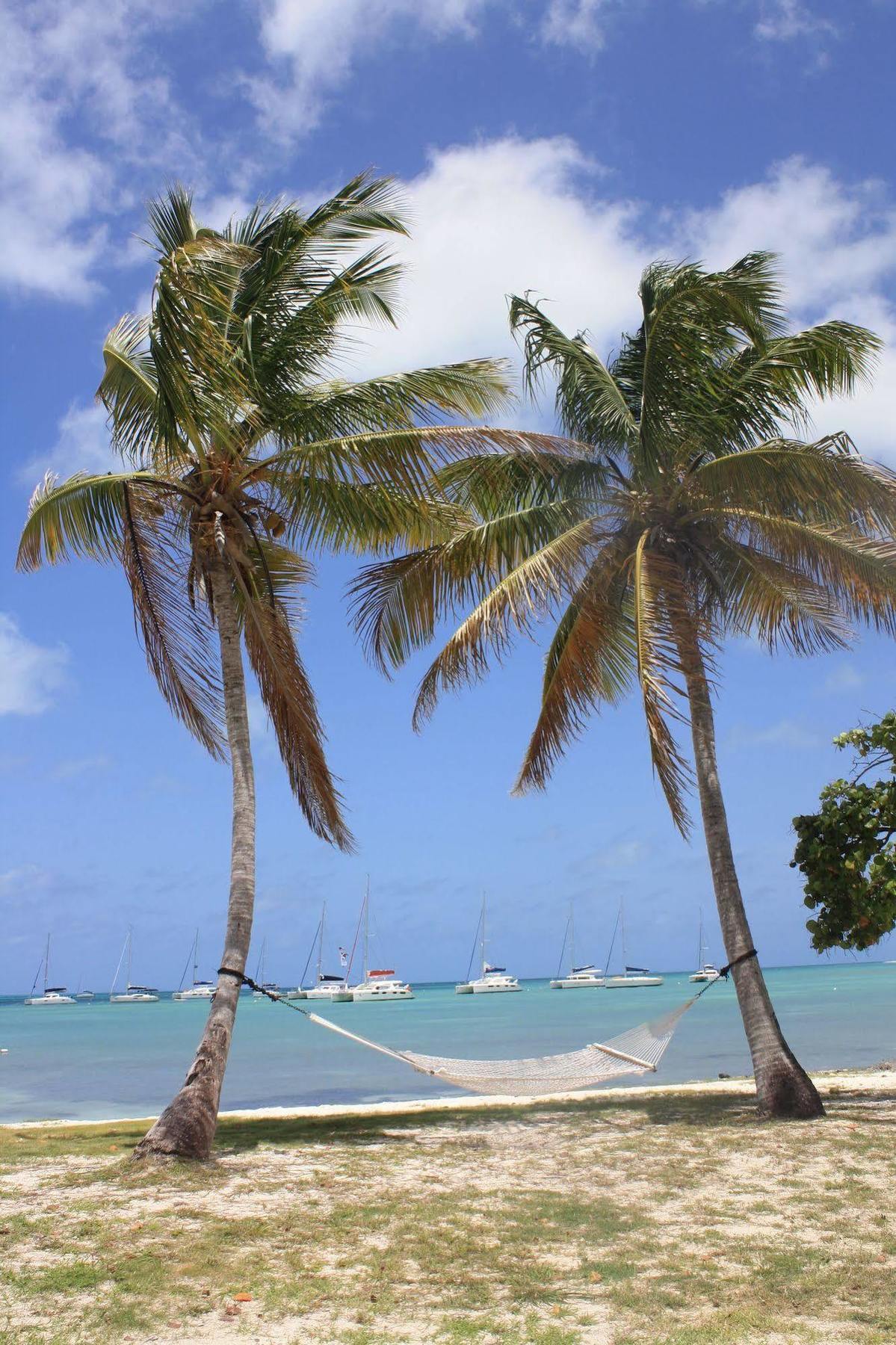 Anegada Reef Hotel The Settlement エクステリア 写真